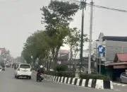 Kabut Asap Selimuti Bontang, BPBD Pastikan Tak Ada Karhutla di Dalam Kota