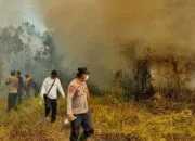 Empat Hektare Lahan Terbakar di Lamaru, Polisi Selidiki Dugaan Pembakaran Bata