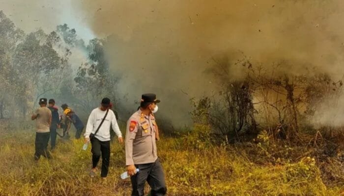 Empat Hektare Lahan Terbakar di Lamaru, Polisi Selidiki Dugaan Pembakaran Bata