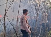September Belum Berakhir, 2.505 Hektare Lahan Kaltim Sudah Terbakar
