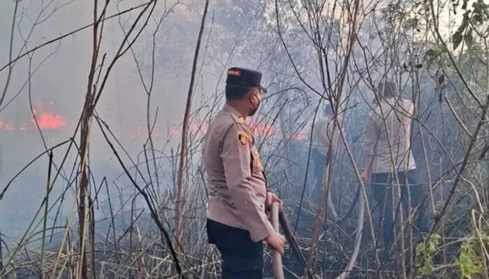 September Belum Berakhir, 2.505 Hektare Lahan Kaltim Sudah Terbakar