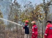 Tiga Jam Lebih Berjibaku, Petugas Jinakkan Kebakaran Lahan di Bontang Lestari