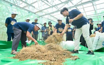 Dorong Kemandirian Petani, Pupuk Kaltim Hadirkan Program PAK TANI di Marangkayu