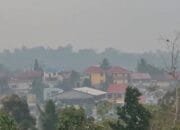 Kabut Asap Masih Selimuti Balikpapan, Disdikbud Belum Terapkan PJJ