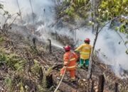Karhutla Belum Reda, Pemkot Samarinda Perpanjang Status Tanggap Darurat