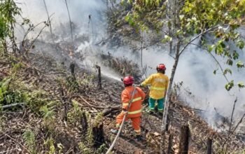 Karhutla Belum Reda, Pemkot Samarinda Perpanjang Status Tanggap Darurat