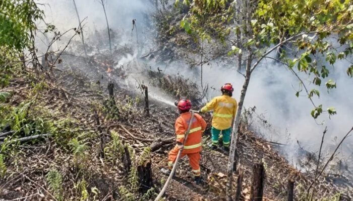 Karhutla Belum Reda, Pemkot Samarinda Perpanjang Status Tanggap Darurat