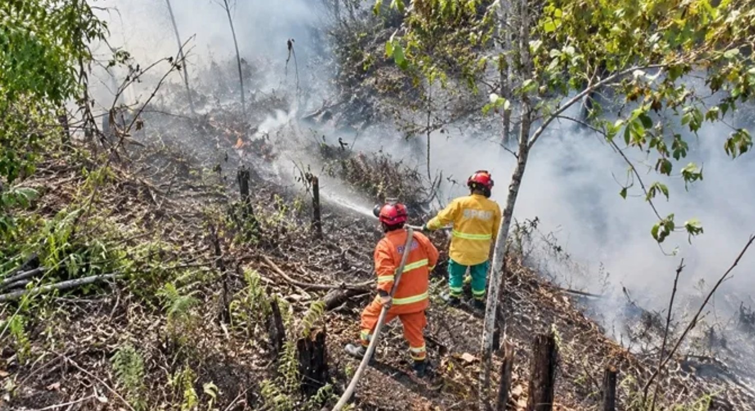 Karhutla Belum Reda, Pemkot Samarinda Perpanjang Status Tanggap Darurat