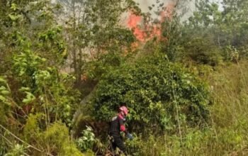 Karhutla Bontang Lestari Meluas hingga Dekati PT Badak LNG, Api Sempat Kembali Menyala