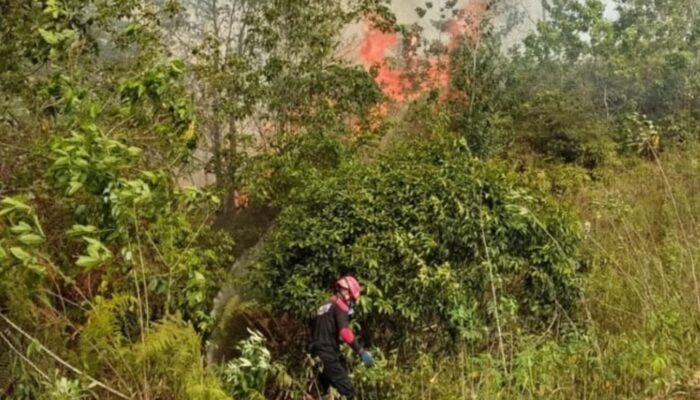Karhutla Bontang Lestari Meluas hingga Dekati PT Badak LNG, Api Sempat Kembali Menyala