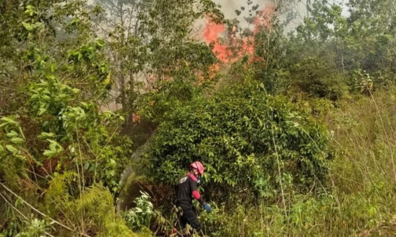 Karhutla Bontang Lestari Meluas hingga Dekati PT Badak LNG, Api Sempat Kembali Menyala