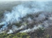 Bupati PPU Soroti Kendala Kewenangan Pusat-Daerah dalam Penanganan Karhutla