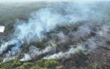 Bupati PPU Soroti Kendala Kewenangan Pusat-Daerah dalam Penanganan Karhutla