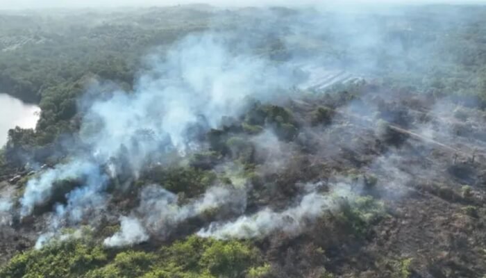 Bupati PPU Soroti Kendala Kewenangan Pusat-Daerah dalam Penanganan Karhutla