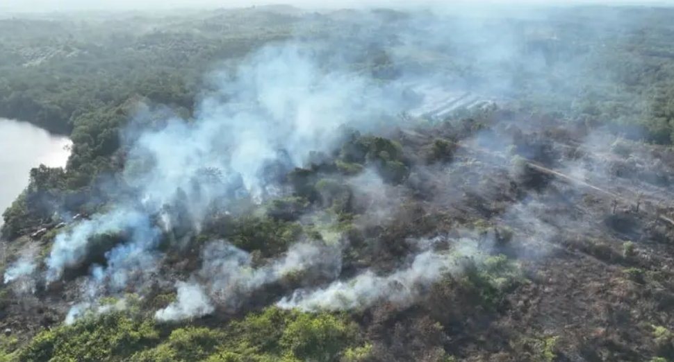 Bupati PPU Soroti Kendala Kewenangan Pusat-Daerah dalam Penanganan Karhutla