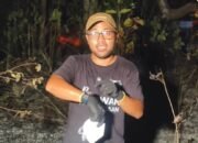 Karhutla di Bontang Meluas, Relawan Kelelahan dan Logistik Mulai Menipis