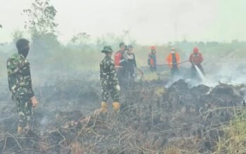 Karhutla di Sangatta Utara Hanguskan 5 Hektare, Api Mendekati Perumahan Korpri