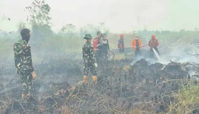 Karhutla di Sangatta Utara Hanguskan 5 Hektare, Api Mendekati Perumahan Korpri