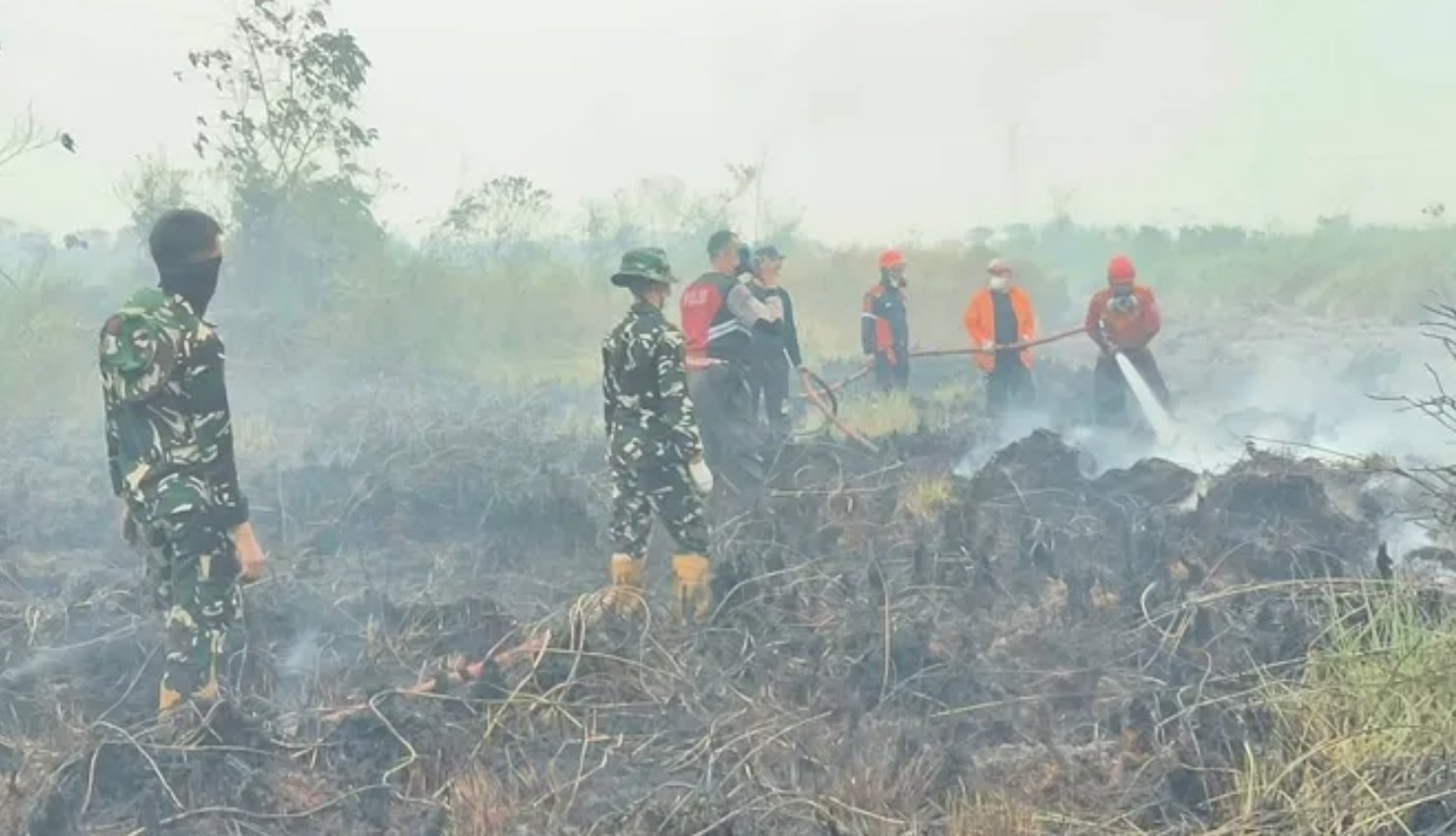 Karhutla di Sangatta Utara Hanguskan 5 Hektare, Api Mendekati Perumahan Korpri